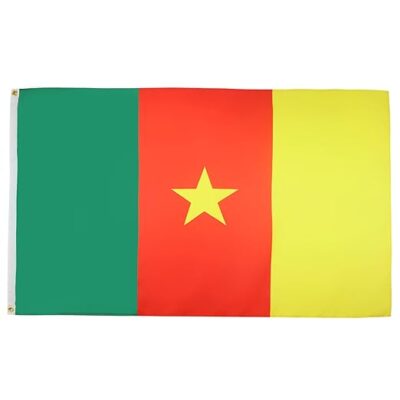 cameroun Drapeau du Cameroun