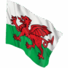 Design sans titre (28) drapeau du pays de galles