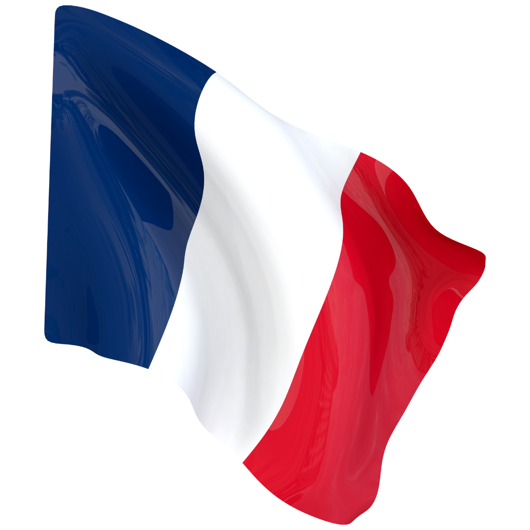 drapeau de la France