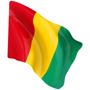 Drapeau de la Guinée Drapeau de la Guinée