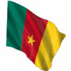 cameroun drapeau du cameroun