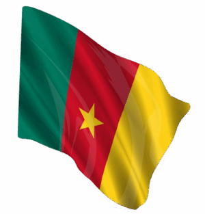 cameroun drapeau du cameroun