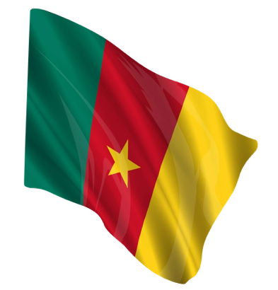 cameroun drapeau du cameroun