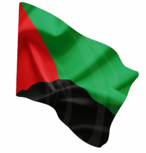 martinique drapeau de la martinique